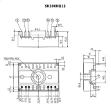 SK100KQ12
